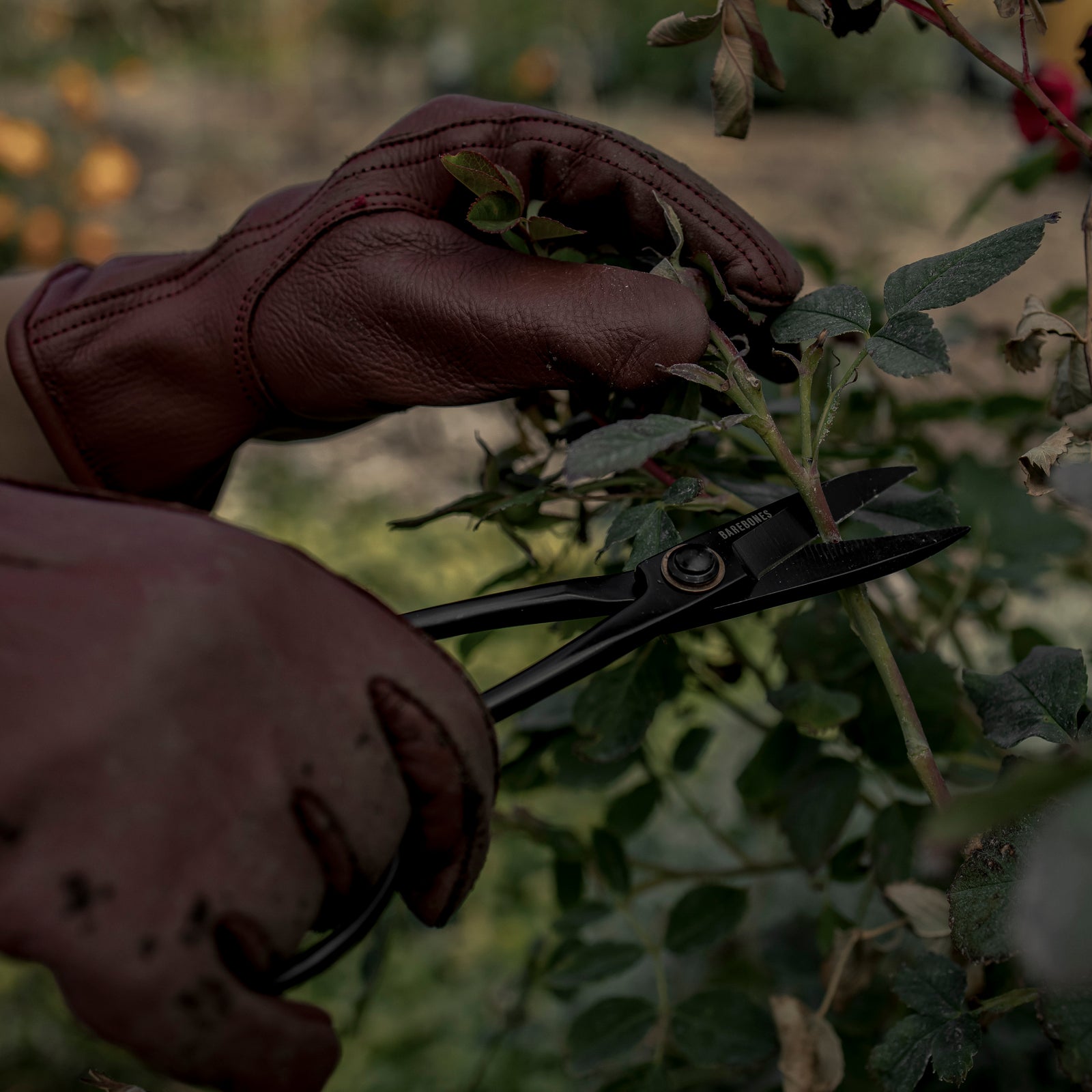 BAREBONES | CLASSIC WORK GLOVE