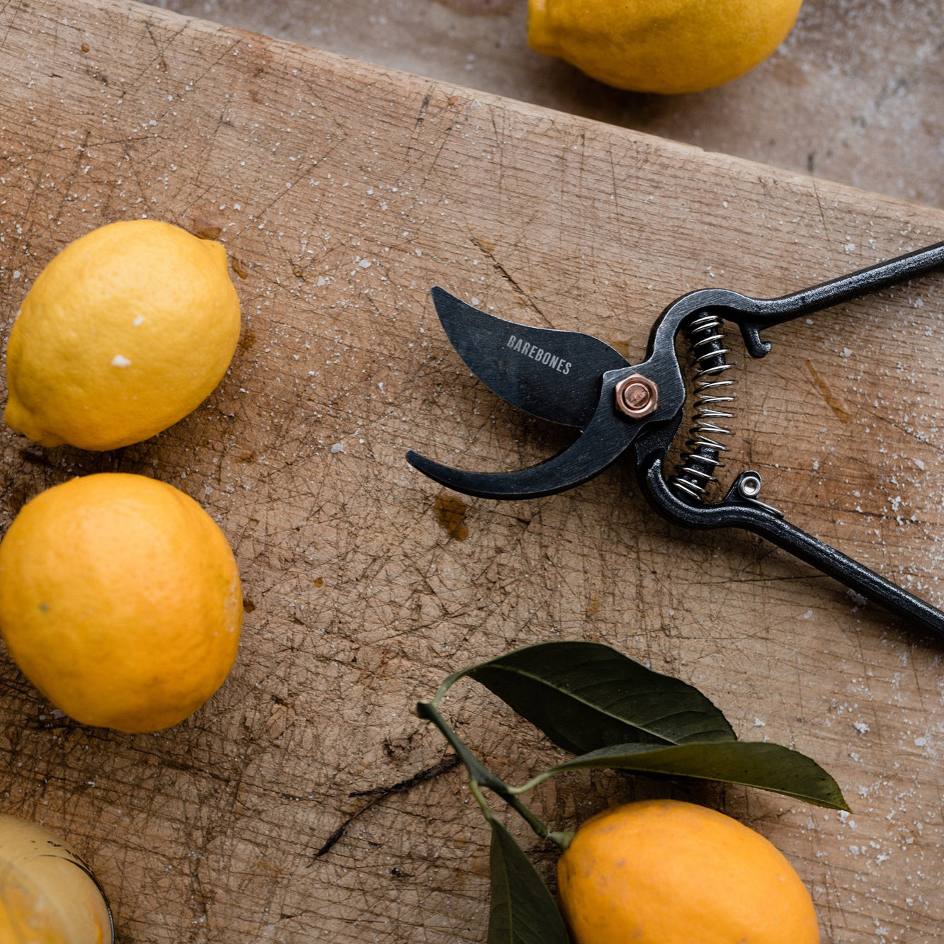 BAREBONES | METAL PRUNER