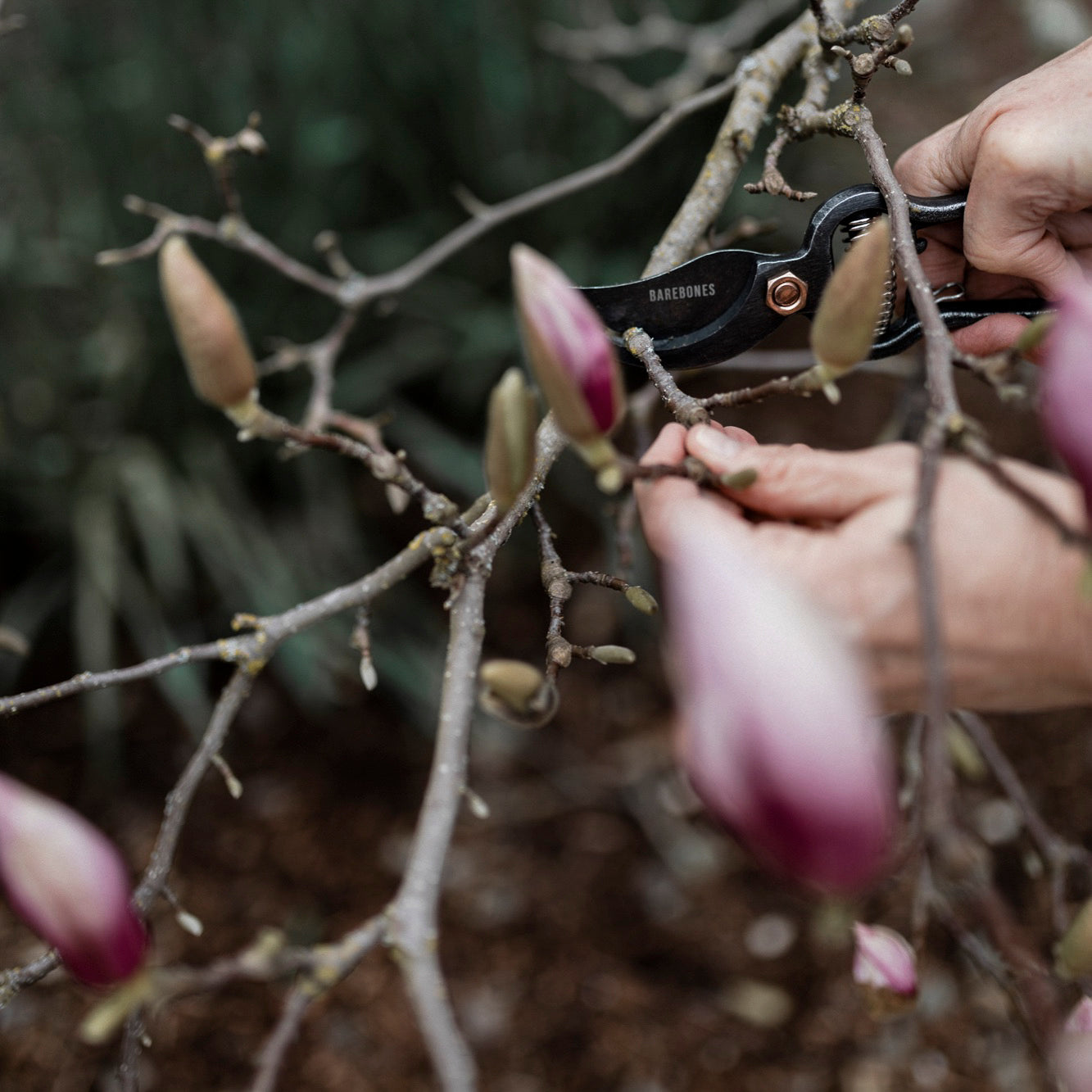 METAL PRUNER | WITH SHEATH