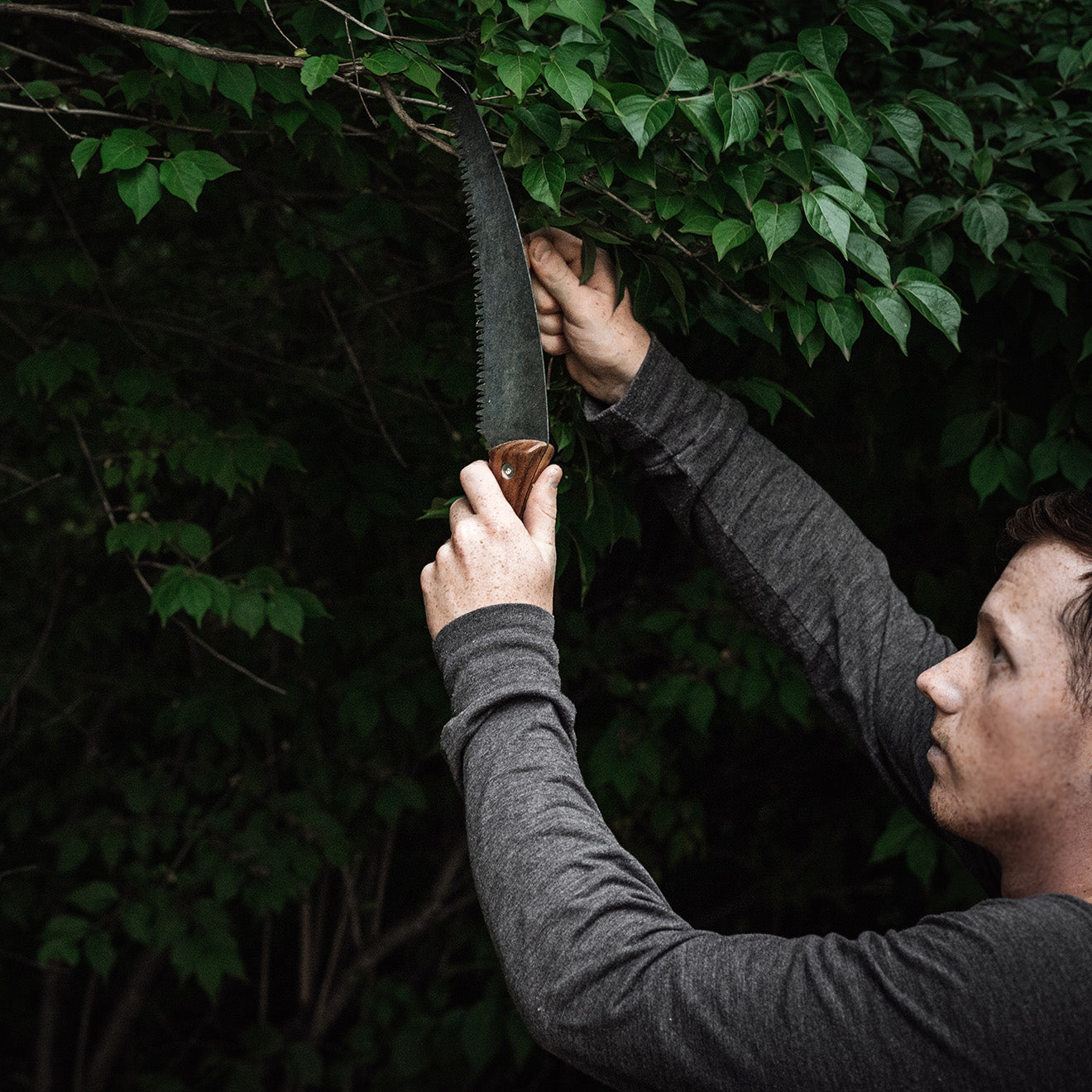 BAREBONES | TIMBER SAW