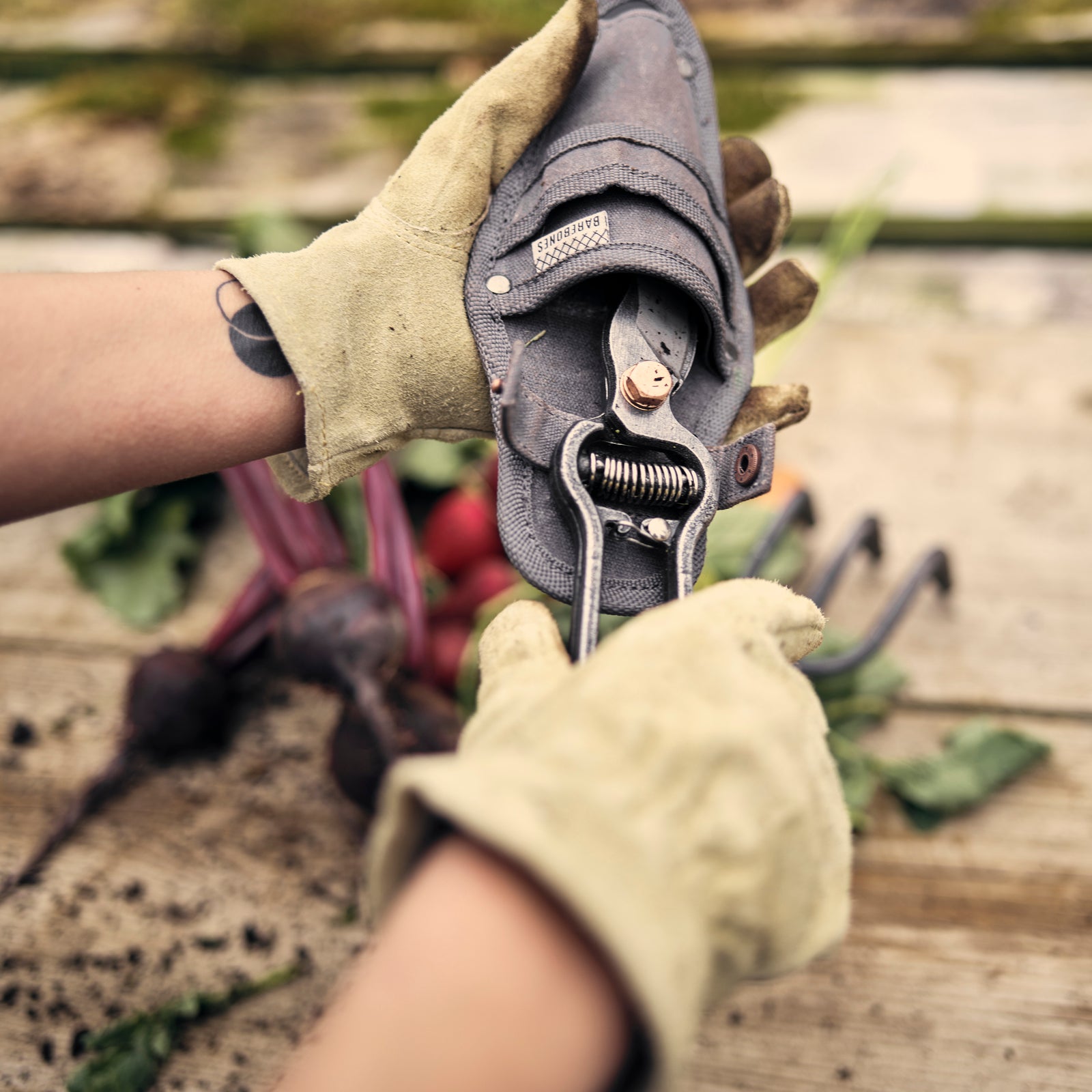 BAREBONES | METAL PRUNER