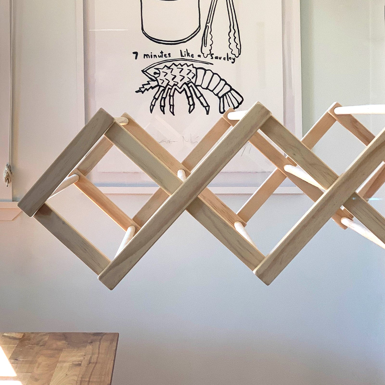 WALL HUNG DRYING RACK