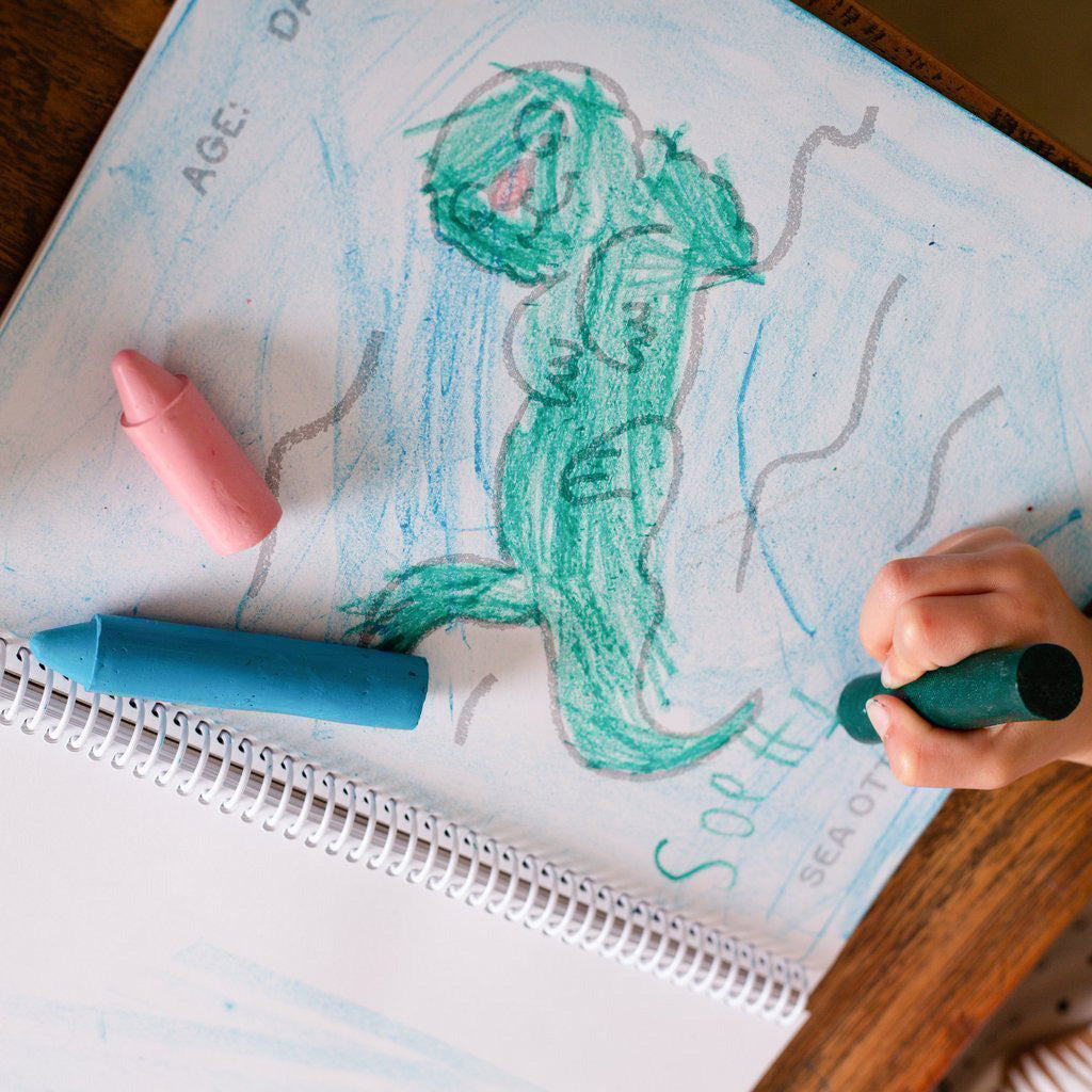 HONEYSTICKS | ORIGINAL CRAYONS