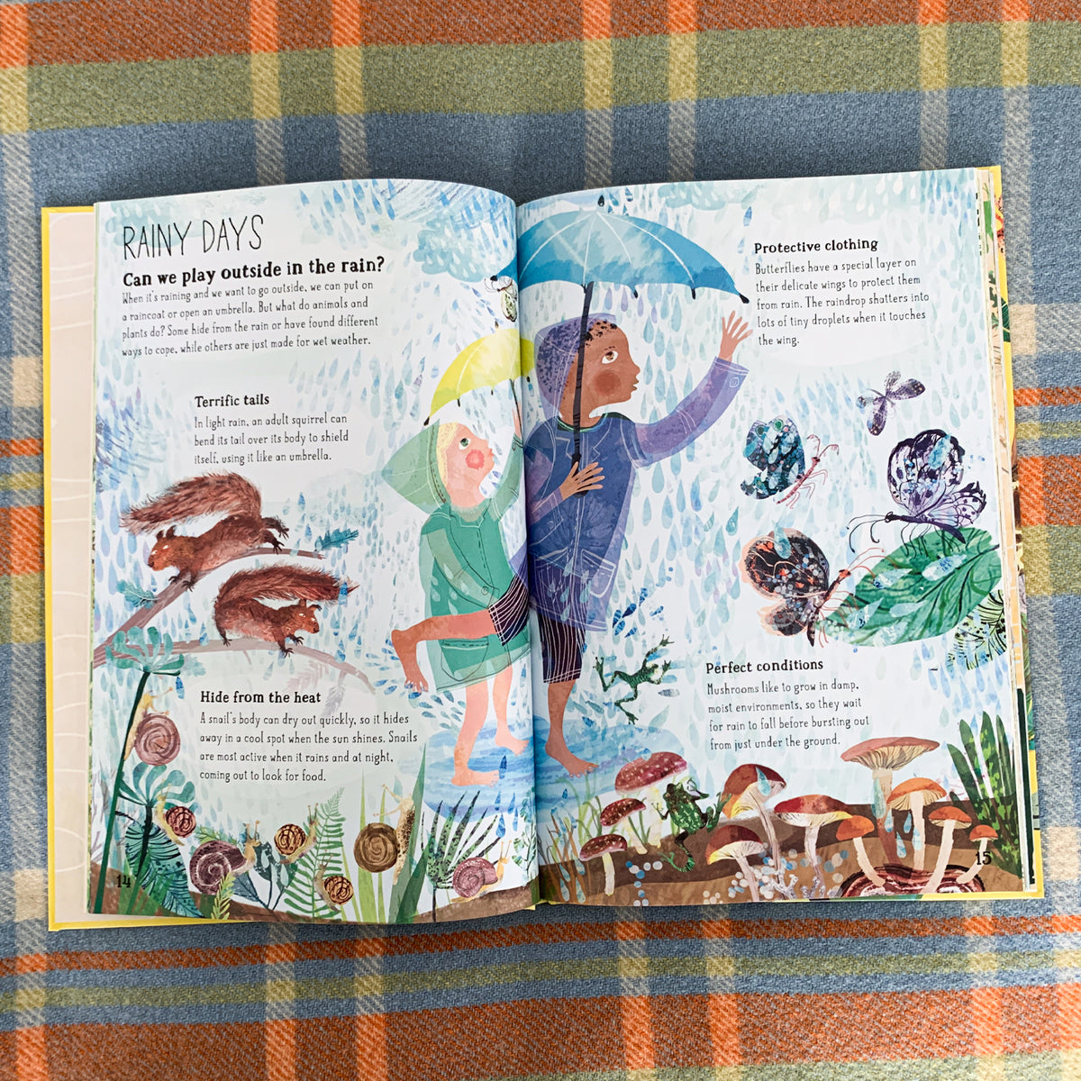 THE BIG BOOK OF BELONGING | YUVAL ZOMMER