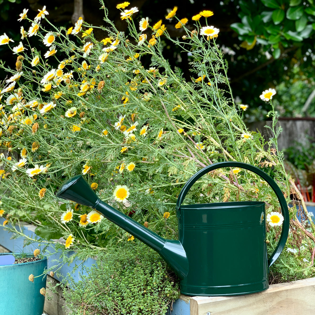 BURGON &amp; BALL |  WATERFALL WATERING CAN 5L